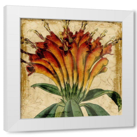 Vibrant Floral IV White Modern Wood Framed Art Print by Vision Studio