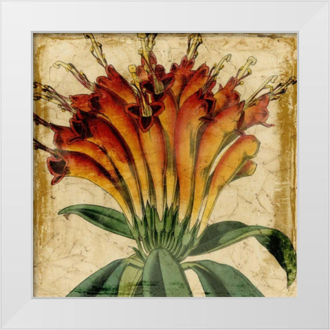 Vibrant Floral IV White Modern Wood Framed Art Print by Vision Studio