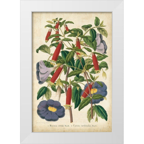 Summer Medley I White Modern Wood Framed Art Print by Severeyns