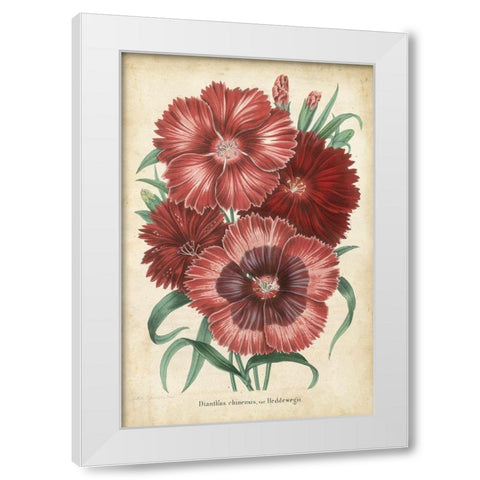 Summer Medley II White Modern Wood Framed Art Print by Severeyns