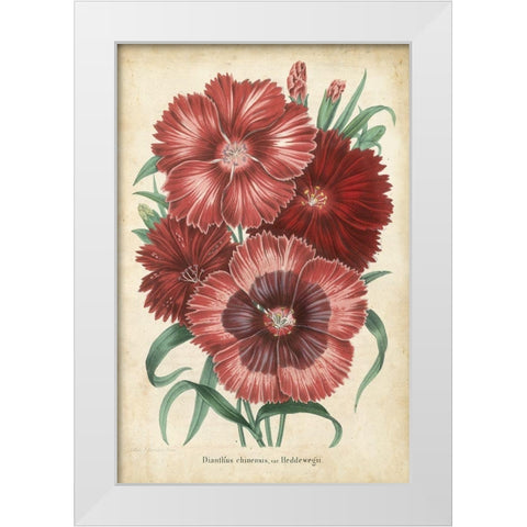 Summer Medley II White Modern Wood Framed Art Print by Severeyns