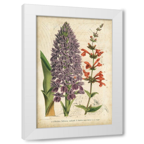 Summer Medley III White Modern Wood Framed Art Print by Severeyns