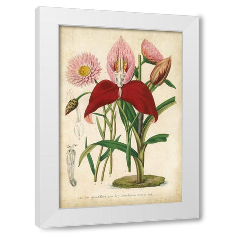 Summer Medley V White Modern Wood Framed Art Print by Severeyns