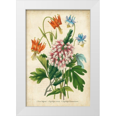 Summer Medley VI White Modern Wood Framed Art Print by Severeyns