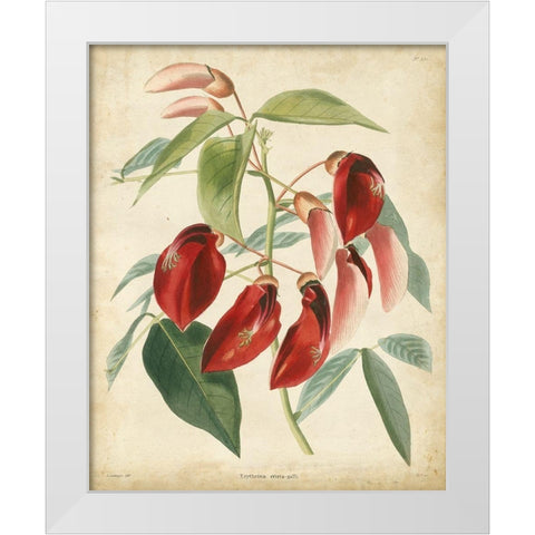 Tropical Floral I White Modern Wood Framed Art Print by Edmonston and Douglas