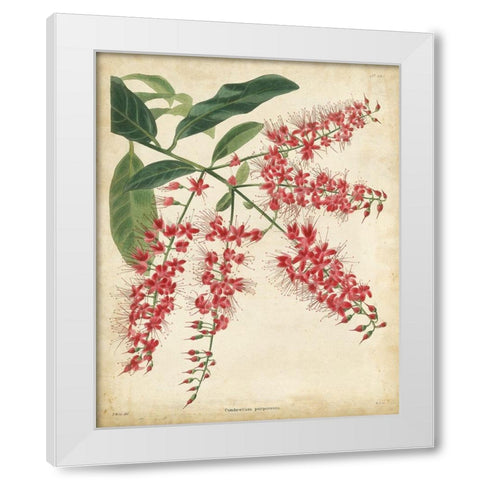 Tropical Floral III White Modern Wood Framed Art Print by Edmonston and Douglas