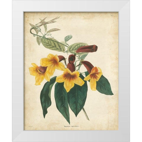 Tropical Floral VI White Modern Wood Framed Art Print by Edmonston and Douglas
