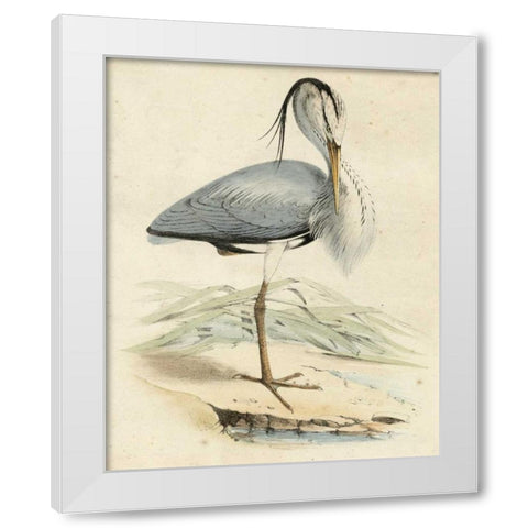 Antique Heron IV White Modern Wood Framed Art Print by Unknown