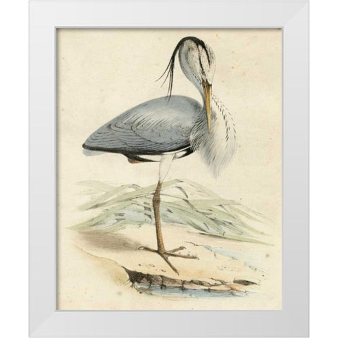 Antique Heron IV White Modern Wood Framed Art Print by Unknown