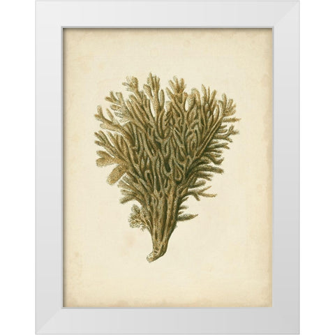 Sealife Collection II White Modern Wood Framed Art Print by Vision Studio