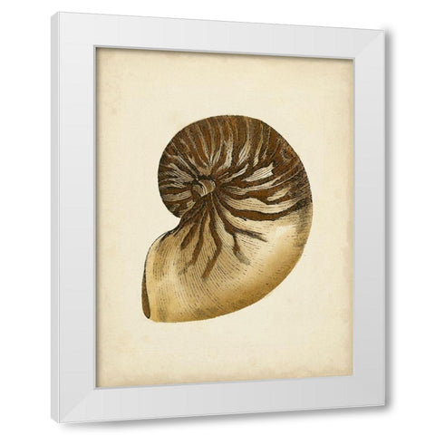 Sealife Collection V White Modern Wood Framed Art Print by Vision Studio