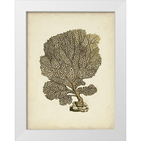 Sealife Collection VIII White Modern Wood Framed Art Print by Vision Studio