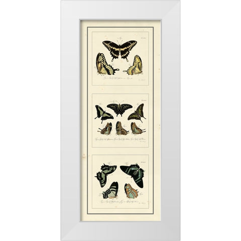 Antique Butterfly Panel II White Modern Wood Framed Art Print by Jablonsk