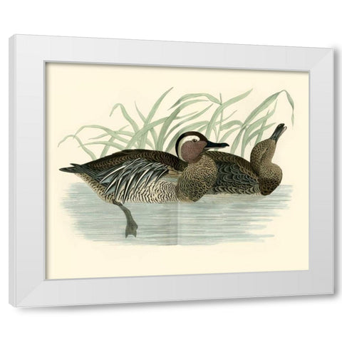 Morris Ducks II White Modern Wood Framed Art Print by Morris