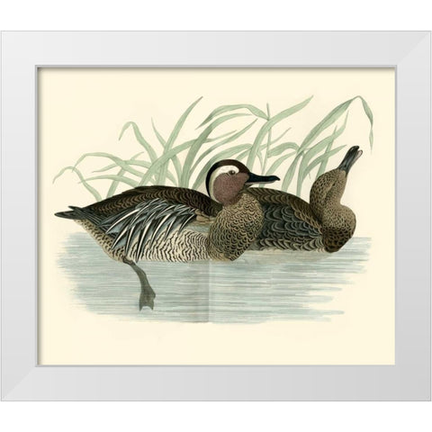 Morris Ducks II White Modern Wood Framed Art Print by Morris