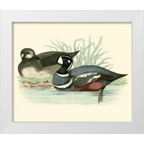 Morris Ducks IV White Modern Wood Framed Art Print by Morris