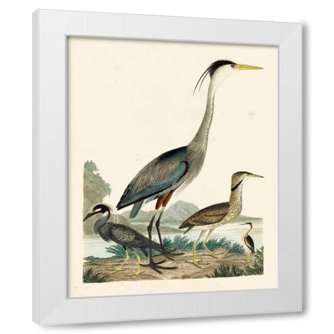 Heron Family I White Modern Wood Framed Art Print by Wilson, A.