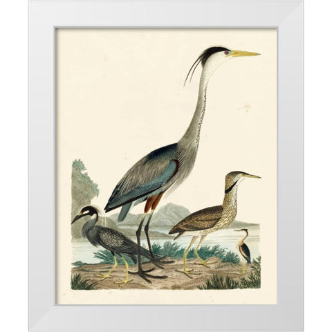 Heron Family I White Modern Wood Framed Art Print by Wilson, A.
