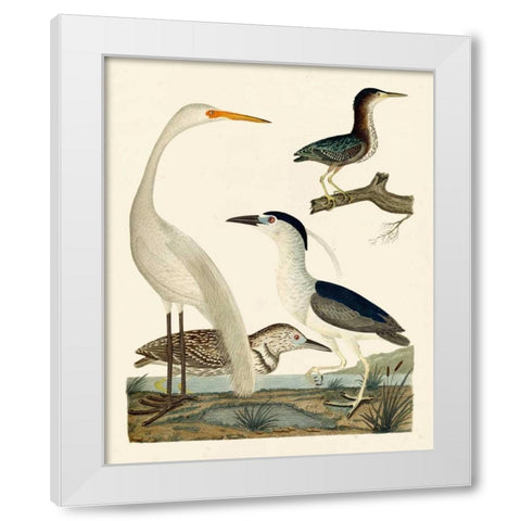 Heron Family II White Modern Wood Framed Art Print by Wilson, A.