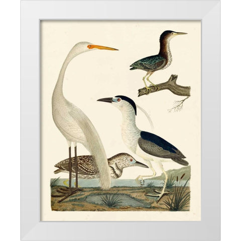Heron Family II White Modern Wood Framed Art Print by Wilson, A.