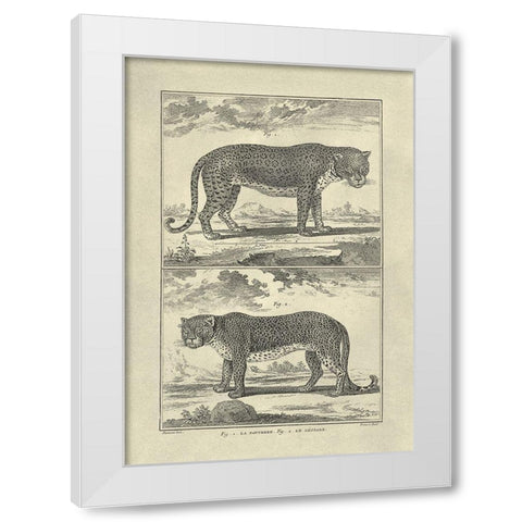 Panther and Leopard White Modern Wood Framed Art Print by Diderot, Denis
