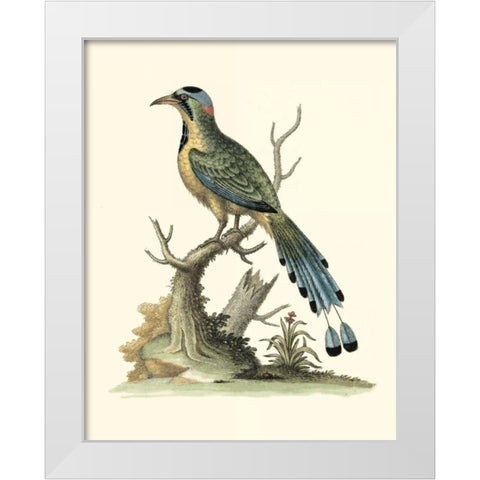 Poised in Nature II White Modern Wood Framed Art Print by Edwards, George