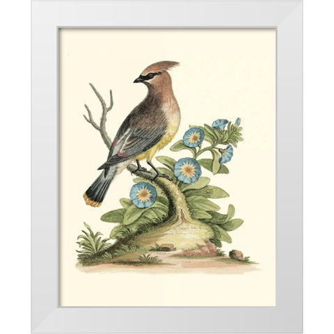 Poised in Nature III White Modern Wood Framed Art Print by Edwards, George