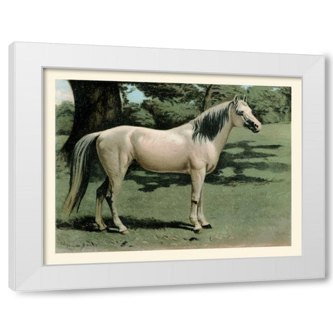 Cassells Horse I White Modern Wood Framed Art Print by Cassel