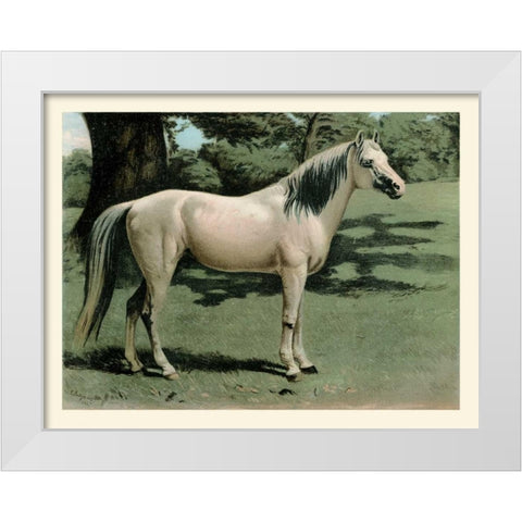 Cassells Horse I White Modern Wood Framed Art Print by Cassel