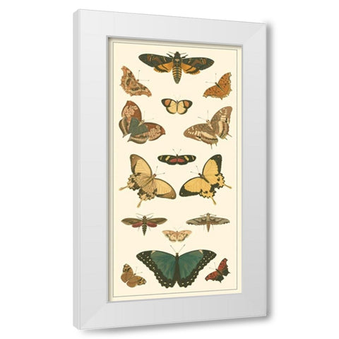 Cramer Butterfly Panel I  White Modern Wood Framed Art Print by Pieter, Cramer