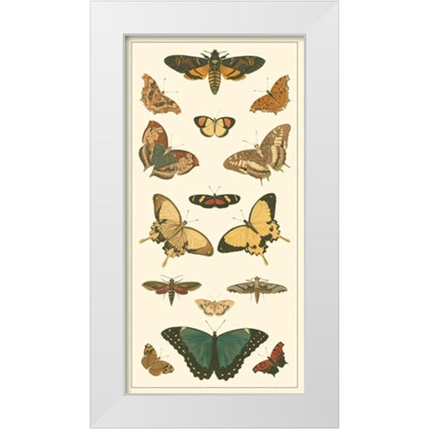 Cramer Butterfly Panel I  White Modern Wood Framed Art Print by Pieter, Cramer