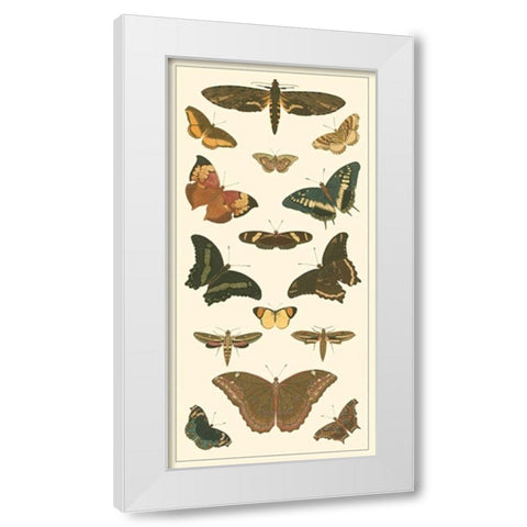 Cramer Butterfly Panel II  White Modern Wood Framed Art Print by Pieter, Cramer