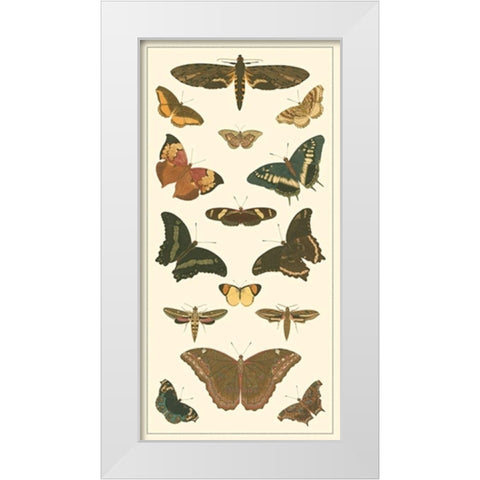 Cramer Butterfly Panel II  White Modern Wood Framed Art Print by Pieter, Cramer