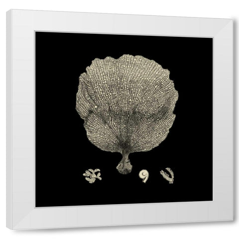 Black and Tan Coral II White Modern Wood Framed Art Print by Vision Studio