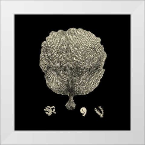 Black and Tan Coral II White Modern Wood Framed Art Print by Vision Studio