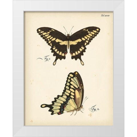 Butterfly Profile I White Modern Wood Framed Art Print by Vision Studio