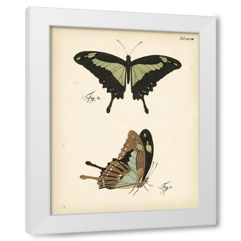 Butterfly Profile III White Modern Wood Framed Art Print by Vision Studio