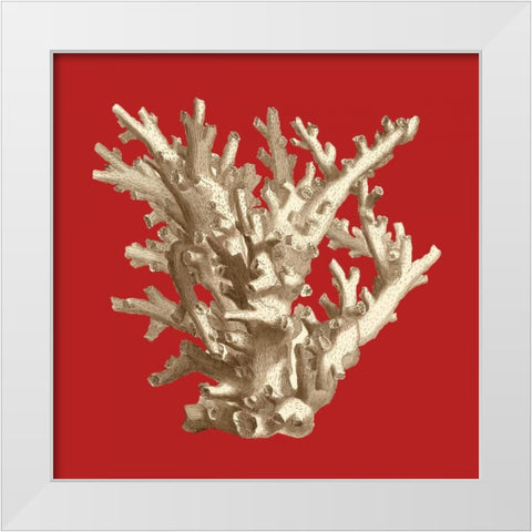 Coral on Red I White Modern Wood Framed Art Print by Vision Studio