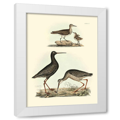 Selby Sandpipers I White Modern Wood Framed Art Print by Selby, John