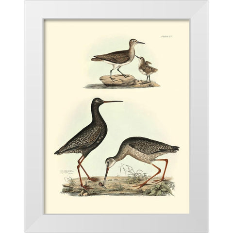 Selby Sandpipers I White Modern Wood Framed Art Print by Selby, John