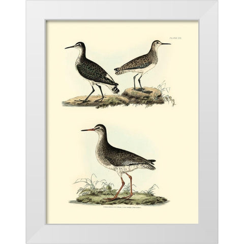 Selby Sandpipers II White Modern Wood Framed Art Print by Selby, John