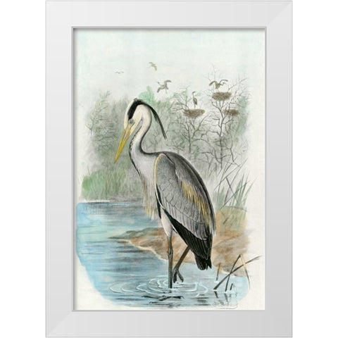 Oversize Common Heron White Modern Wood Framed Art Print by unknown