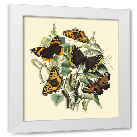 Butterfly Gathering II White Modern Wood Framed Art Print by Vision Studio