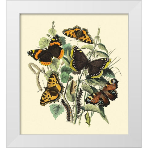 Butterfly Gathering II White Modern Wood Framed Art Print by Vision Studio