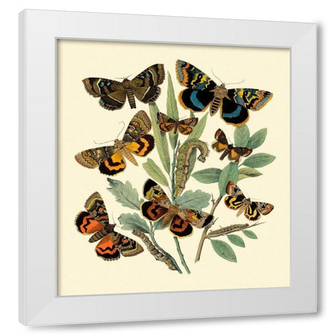 Butterfly Gathering III White Modern Wood Framed Art Print by Vision Studio