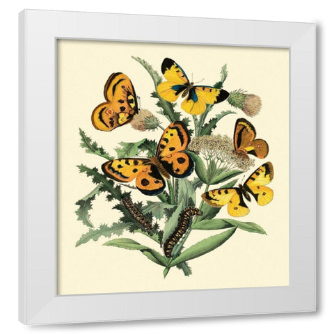 Butterfly Gathering IV White Modern Wood Framed Art Print by Vision Studio