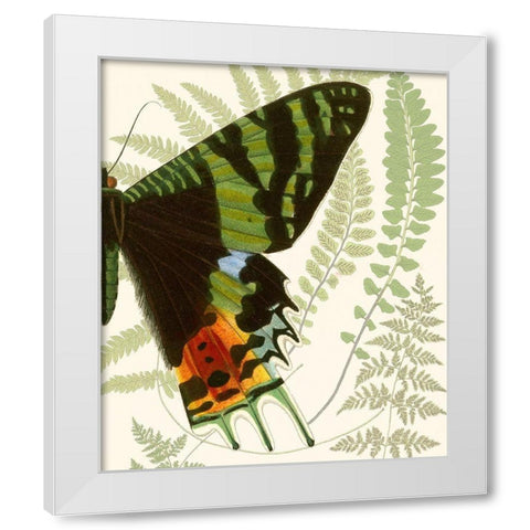 Butterfly Symmetry II White Modern Wood Framed Art Print by Vision Studio