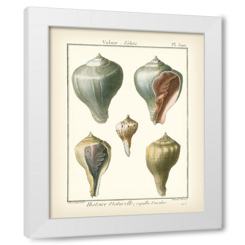 Volute Shells  Pl.390 White Modern Wood Framed Art Print by Diderot, Denis