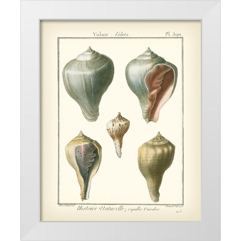 Volute Shells  Pl.390 White Modern Wood Framed Art Print by Diderot, Denis
