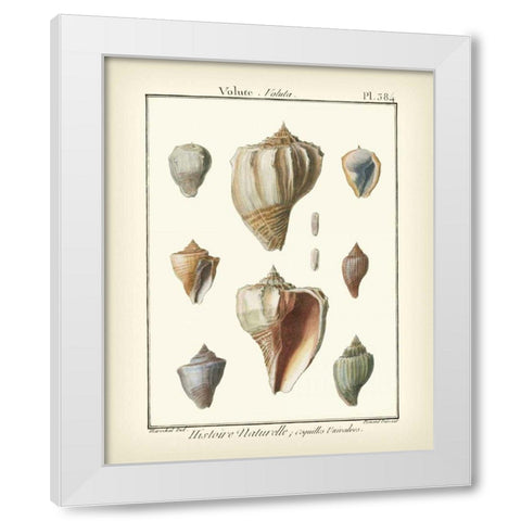 Volute Shells, Pl.384 White Modern Wood Framed Art Print by Diderot, Denis